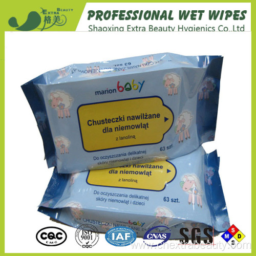 Eco Friendly Cleaning Multifunction Cleaning Wet Wipes